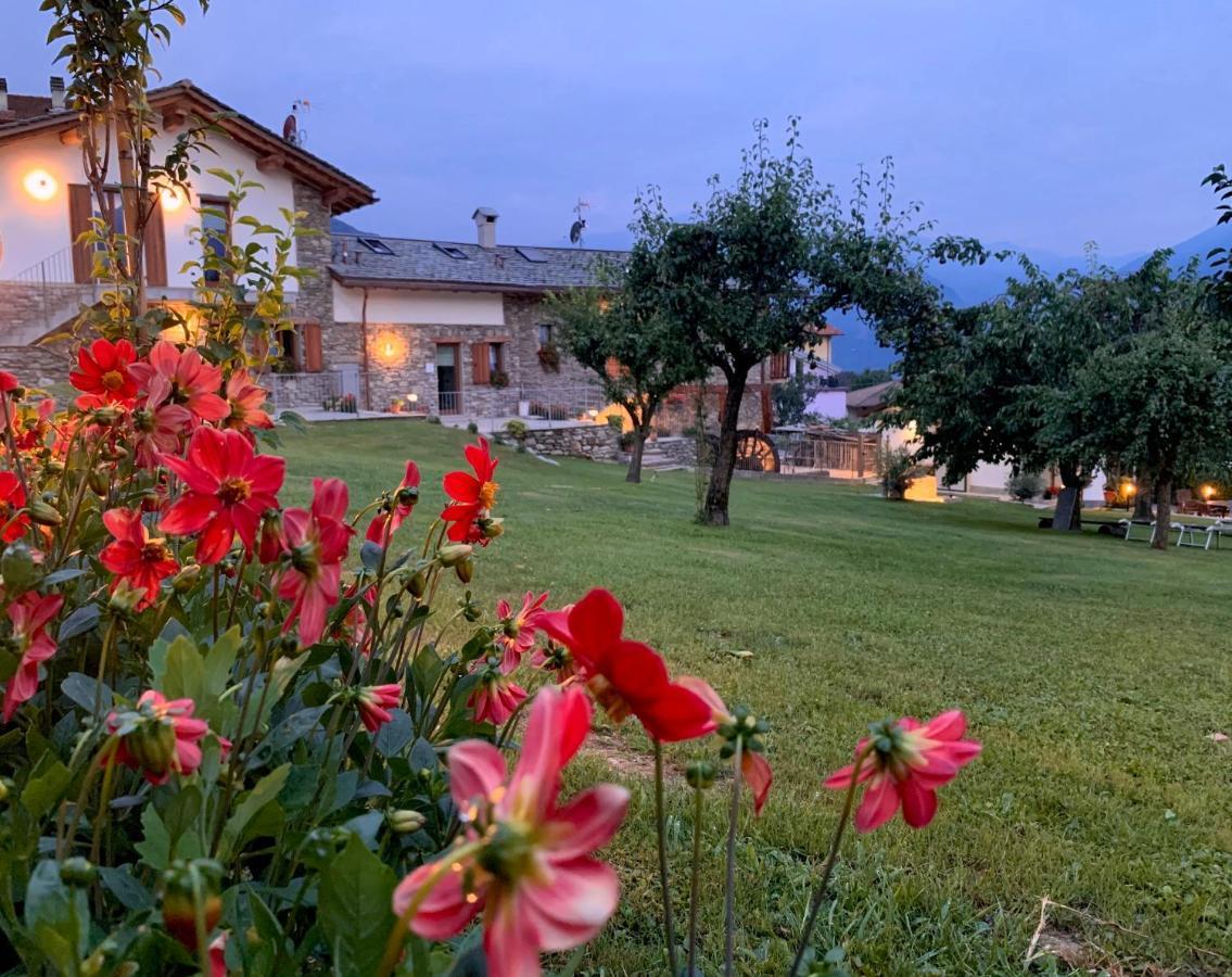 Il Fienile - Lake Como Heritage Home In Molino Maufet Watermill - Lake View Terrace Colico Exteriör bild
